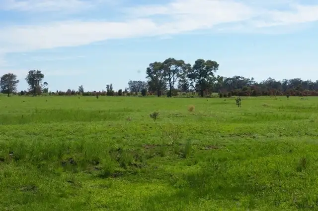 Fifth view of Homely rural property listing, 0 Texas-Yelarbon Road, Beebo QLD 4385