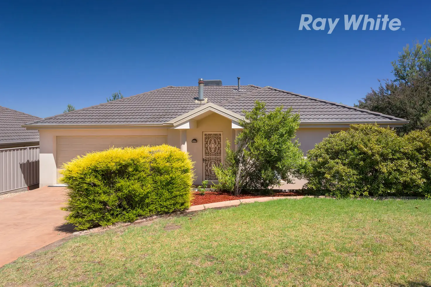 Main view of Homely house listing, 29 Telopea Street, Thurgoona NSW 2640
