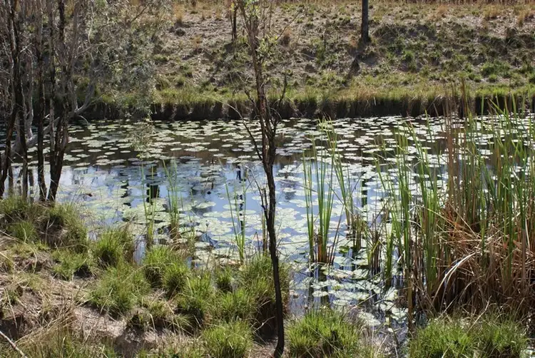 Fourth view of Homely rural property listing, Lot 17/2300 Fingerboard Road, Mount Tom QLD 4677