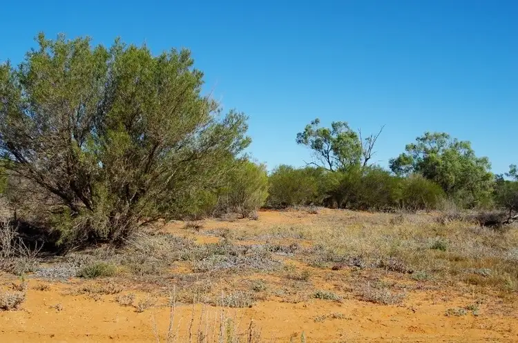Second view of Homely rural property listing, Lot 2 Story Avenue, Renmark SA 5341
