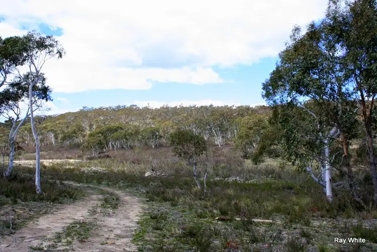 Fourth view of Homely rural property listing, 41 Tee Tree Road, Braidwood NSW 2622