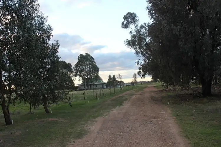 Fourth view of Homely rural property listing, 6410 Burley Griffin Way, Temora NSW 2666