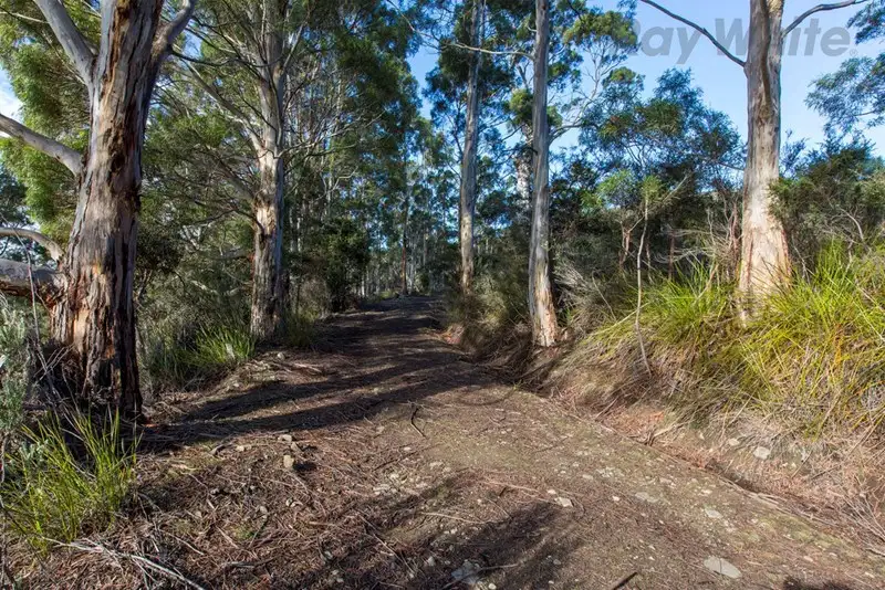 Main view of Homely land listing, 101 Devlyns Road, Birchs Bay TAS 7162