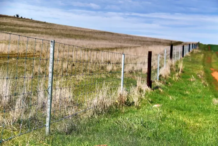 Fourth view of Homely rural property listing, 2 Lots, Wilkins Highway, Gladstone SA 5473