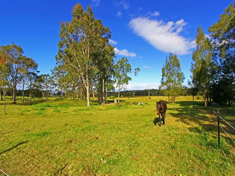Fourth view of Homely rural property listing, 20 Jensen Road, Wadalba NSW 2259