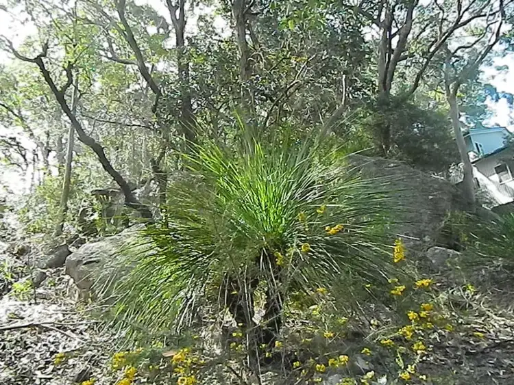 Fourth view of Homely land listing, 74 Monastir Road, Phegans Bay NSW 2256