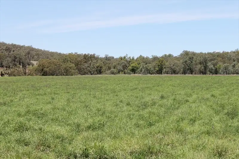 Main view of Homely rural property listing, Address available on request