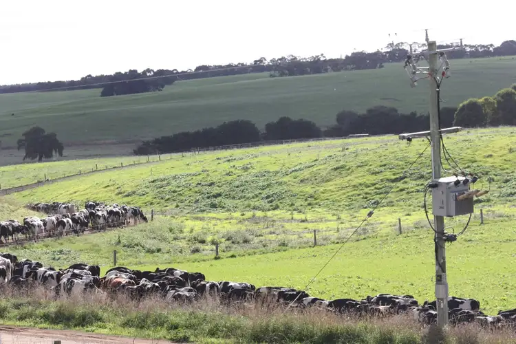 Sixth view of Homely rural property listing, 149 Louth Swamp Road, Byaduk VIC 3301