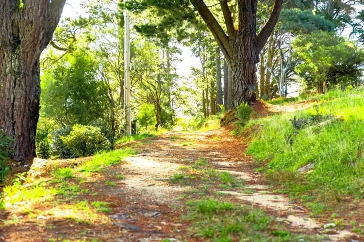 Seventh view of Homely land listing, Lot 3 Helvetia Rd (Access from Bundarra St), Blackheath NSW 2785