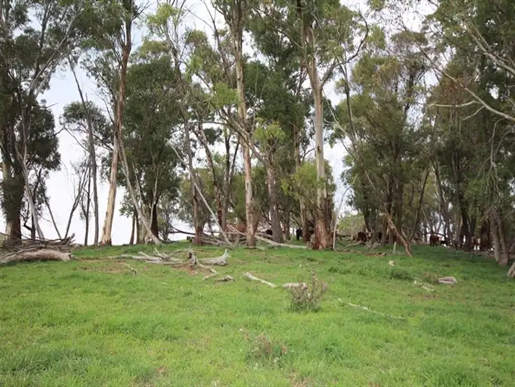 Sixth view of Homely rural property listing, Lot 1 519 Nunans Hill Road, Oberon NSW 2787
