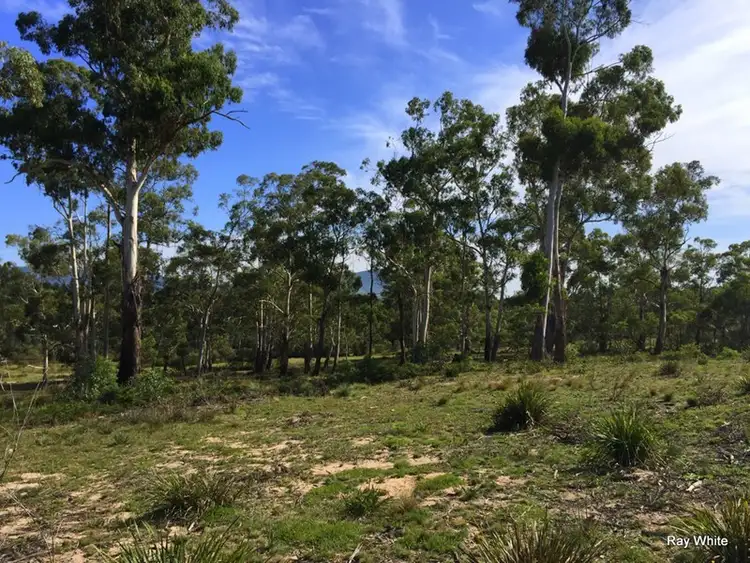 Sixth view of Homely rural property listing, 1901 Cooma Road, Braidwood NSW 2622