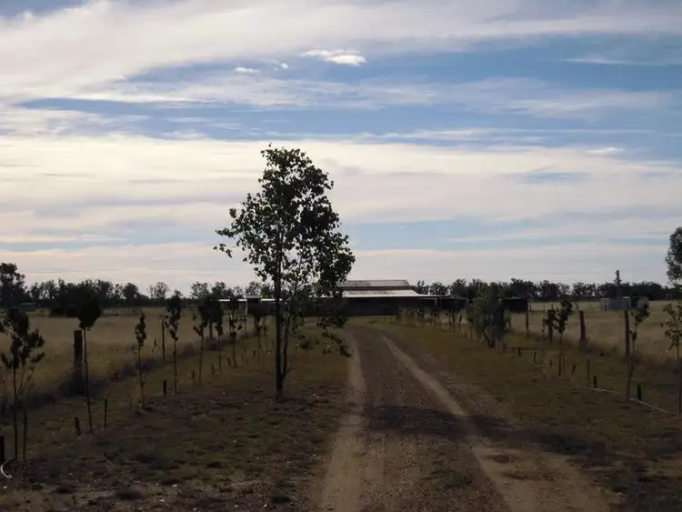 Sixth view of Homely rural property listing, 2290 Bostocks Road, Millmerran QLD 4357