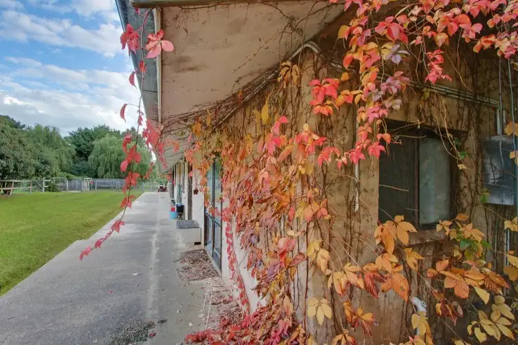 Fifth view of Homely rural property listing, 1214 Binda Road, Binda NSW 2583