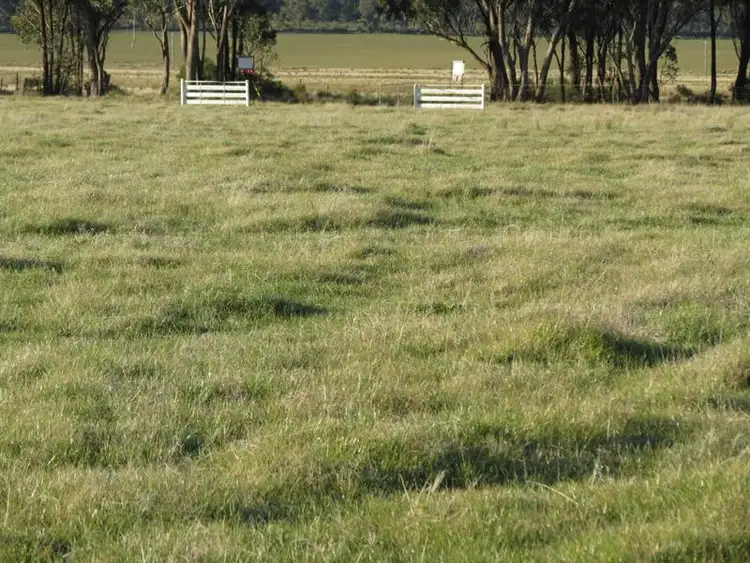 741 Lot 31 Thanowring Road, Temora NSW 2666