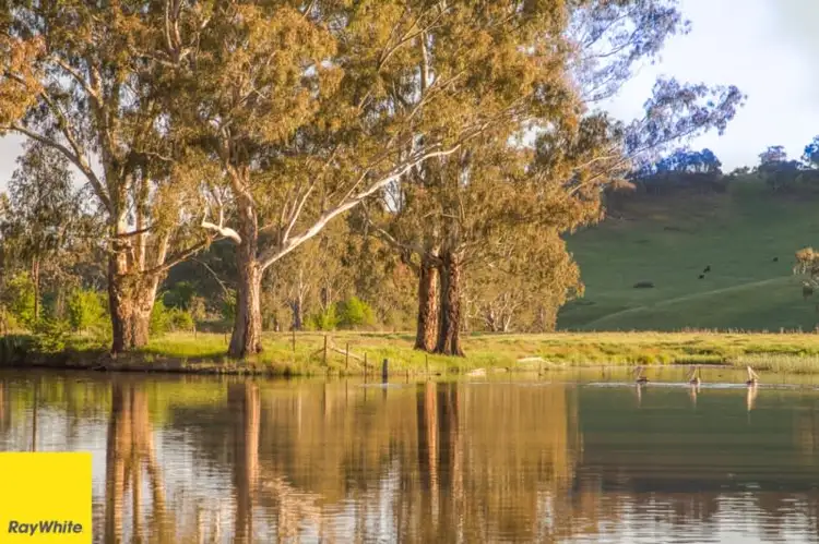 Second view of Homely rural property listing, 194 Quidong Road, Tumut NSW 2720