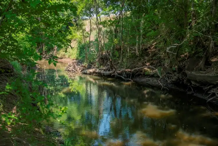 Sixth view of Homely rural property listing, 485 Sellars Road, Rosevale QLD 4340