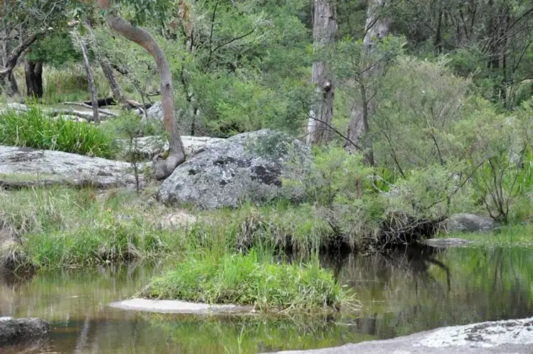 Fifth view of Homely rural property listing, Imbergers Imbergers Road, Tenterfield NSW 2372