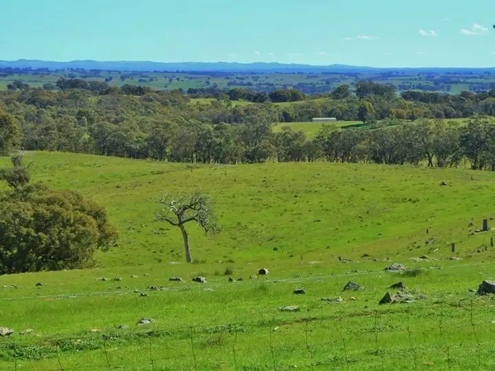 Main view of Homely rural property listing, Lots 1-6, 50 Loeman Road, Tooborac VIC 3522
