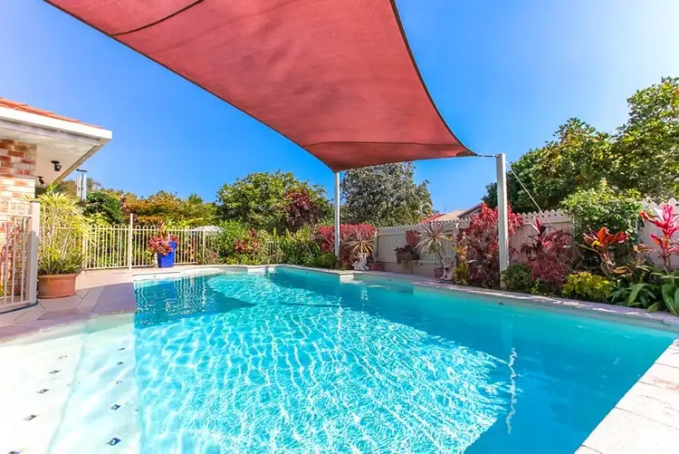 Second view of Homely house listing, 19 Kalmia Place, Mountain Creek QLD 4557