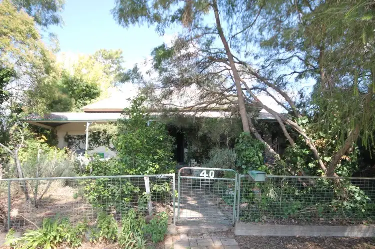 40 Currawong Street, Young NSW 2594