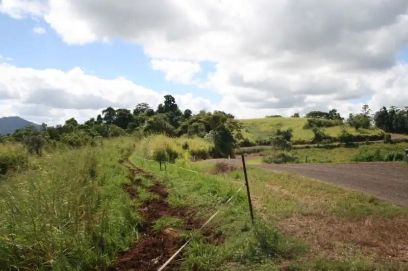 Main view of Homely rural property listing, 239 Dunne Road, East Palmerston QLD 4860