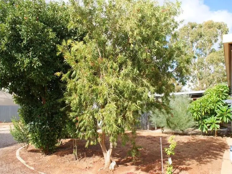 Sixth view of Homely house listing, 20 Recreation Avenue, Murray Bridge SA 5253