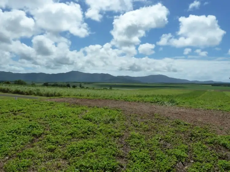 Lot 8 De Meio Drive, Lower Daintree QLD 4873