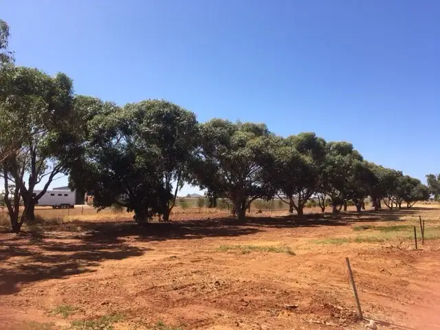 Fourth view of Homely house listing, 9 Horseshoe Court, Deepdale WA 6532