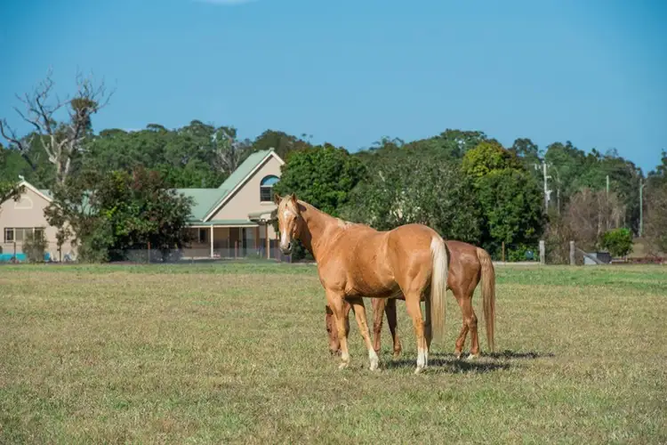 493 Dundowran Road, Dundowran QLD 4655