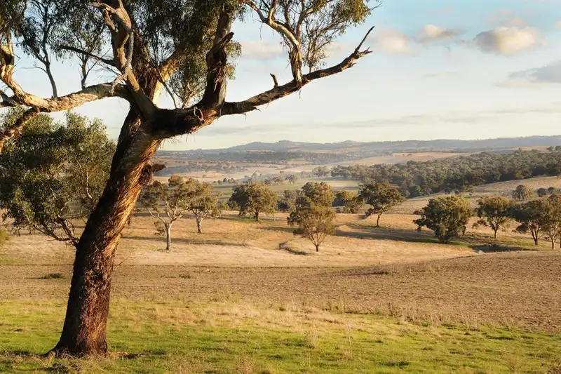 Main view of Homely rural property listing, Address available on request