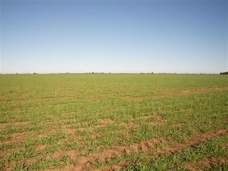Third view of Homely rural property listing, WOODSIDE Carinda Road, Coonamble NSW 2829