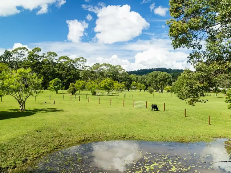 Third view of Homely rural property listing, 763 Tallebudgera Creek Road, Tallebudgera Valley QLD 4228