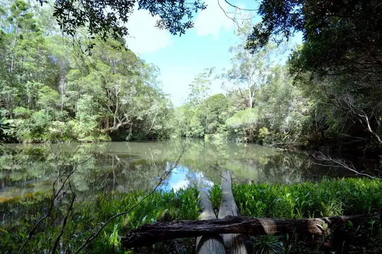 Third view of Homely rural property listing, 206 Timmsvale Road, Ulong NSW 2450