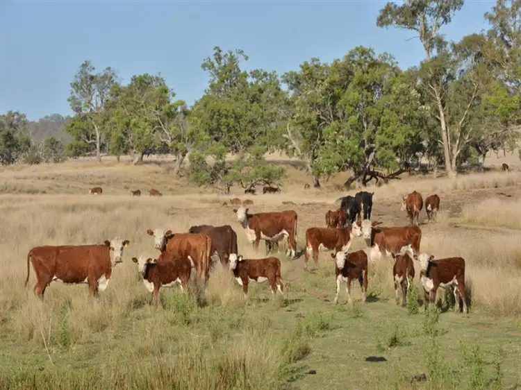 Second view of Homely rural property listing, RINGWOOD Napier Lane, Coonabarabran NSW 2357
