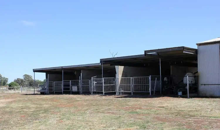 Sixth view of Homely rural property listing, 37 Tewkesbury Road, Temora NSW 2666