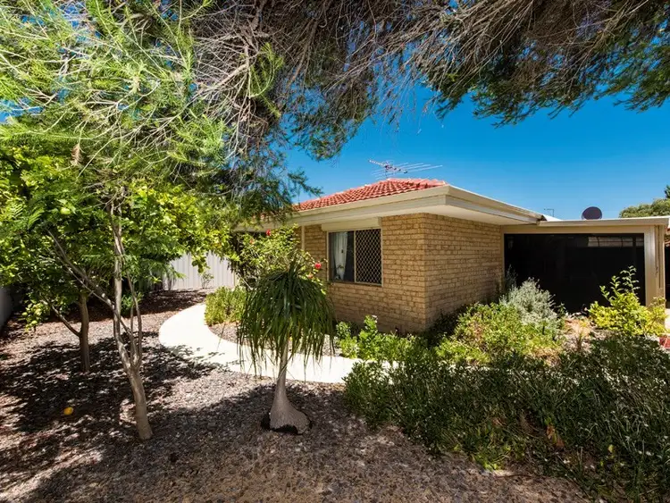 Third view of Homely unit listing, 11-5 Ashford Avenue, Rockingham WA 6168