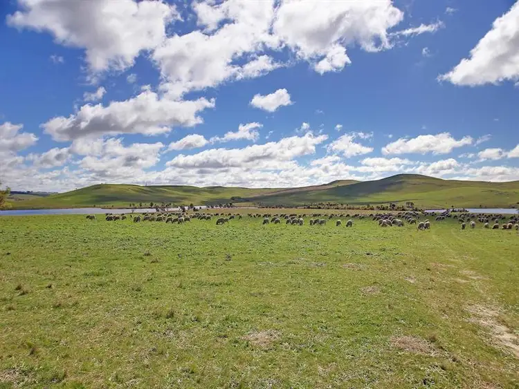Seventh view of Homely rural property listing, 316 St Stephens Road, Goulburn NSW 2580