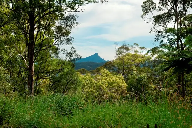 Second view of Homely rural property listing, 31 Hinchinbrook Road, Burringbar NSW 2483