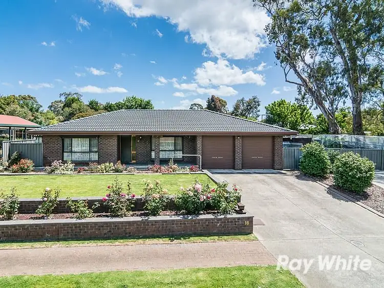 16 Gallasch Drive, Mount Barker SA 5251