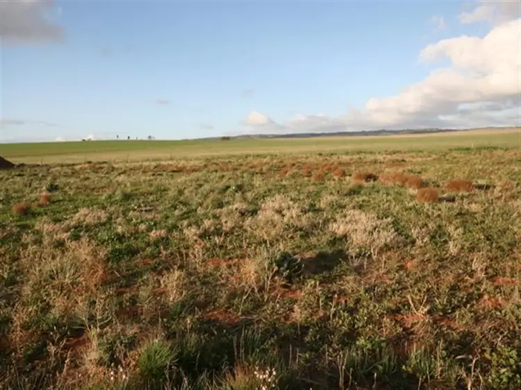 Fourth view of Homely land listing, Lot 29 Cook Avenue, Blyth SA 5462
