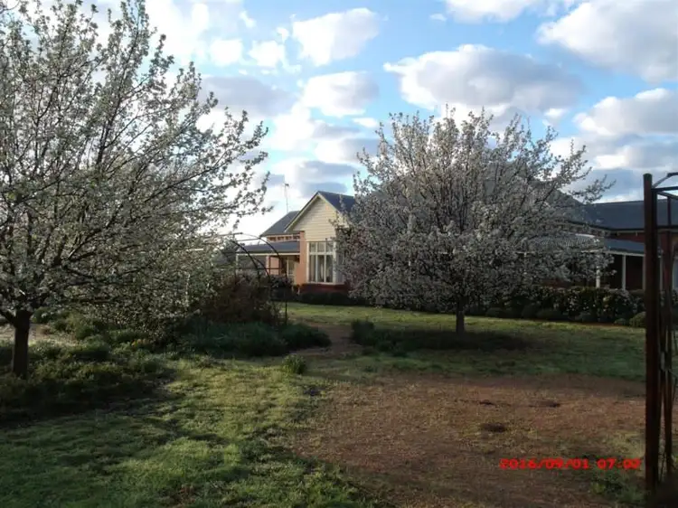 Main view of Homely house listing, 135 Nash Street, Parkes NSW 2870
