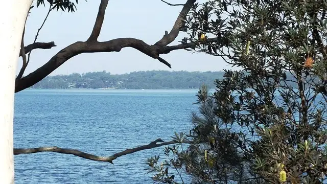 Main view of Homely house listing, 16 Greville Avenue, Sanctuary Point NSW 2540