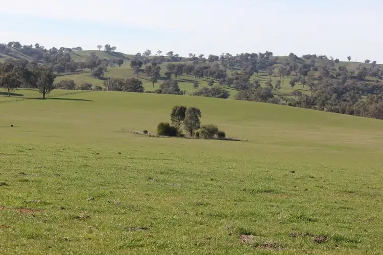 Third view of Homely rural property listing, Kanimbla Hume Highway, Tarcutta NSW 2652