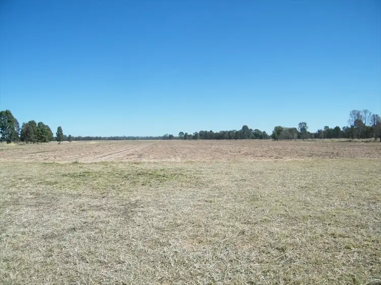 Fifth view of Homely rural property listing, . "BAR-K" and "PINNEENA", Chinchilla QLD 4413
