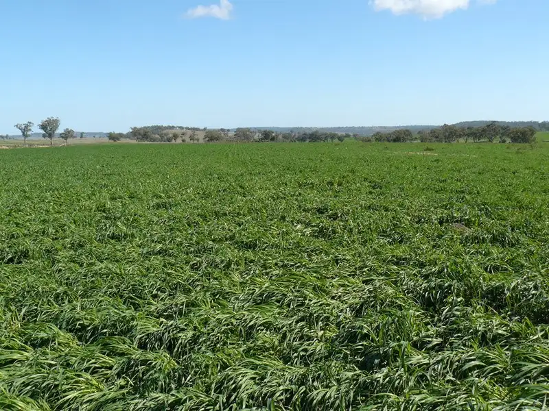 Main view of Homely rural property listing, Address available on request