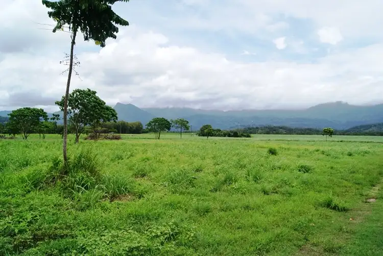 Sixth view of Homely land listing, 163R Newell Road, Newell QLD 4873