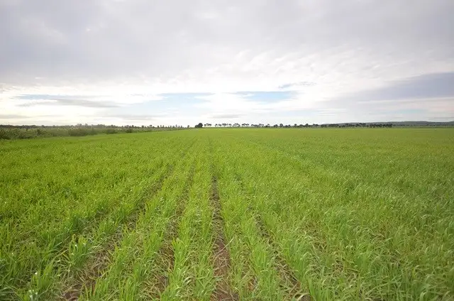 Third view of Homely rural property listing, Lot 3-Ashmore Smith Road, Mintaro SA 5415