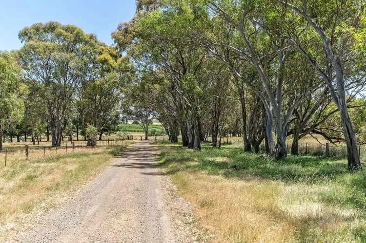 Fourth view of Homely house listing, 91 Radnedge Lane, Borenore NSW 2800