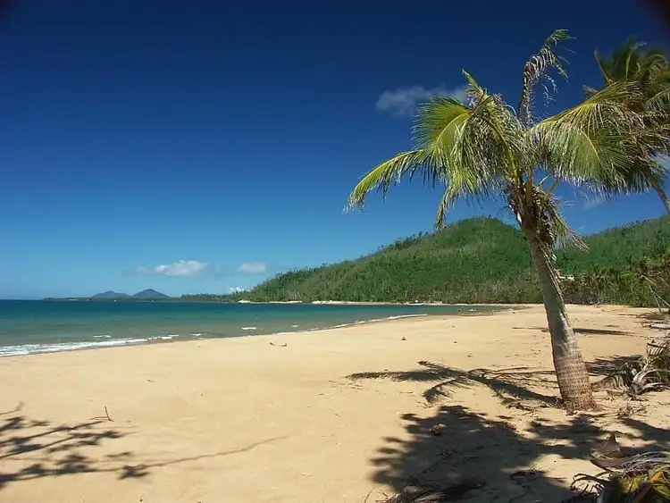 Fourth view of Homely rural property listing, Lot 1 Butler Road, Bingil Bay QLD 4852