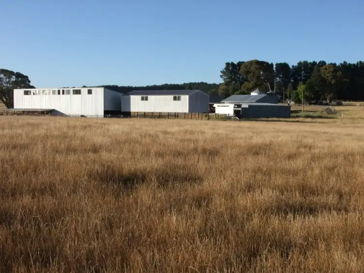 Fourth view of Homely rural property listing, Address available on request